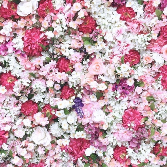 Meet your Posher, Felicia - Picture 1 of 1